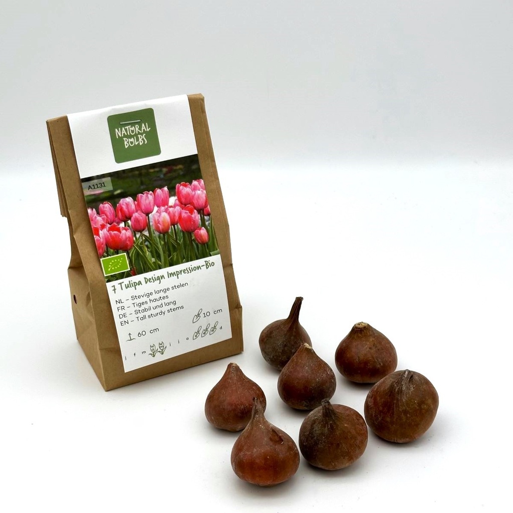 Tulipa Design Impression - BIO