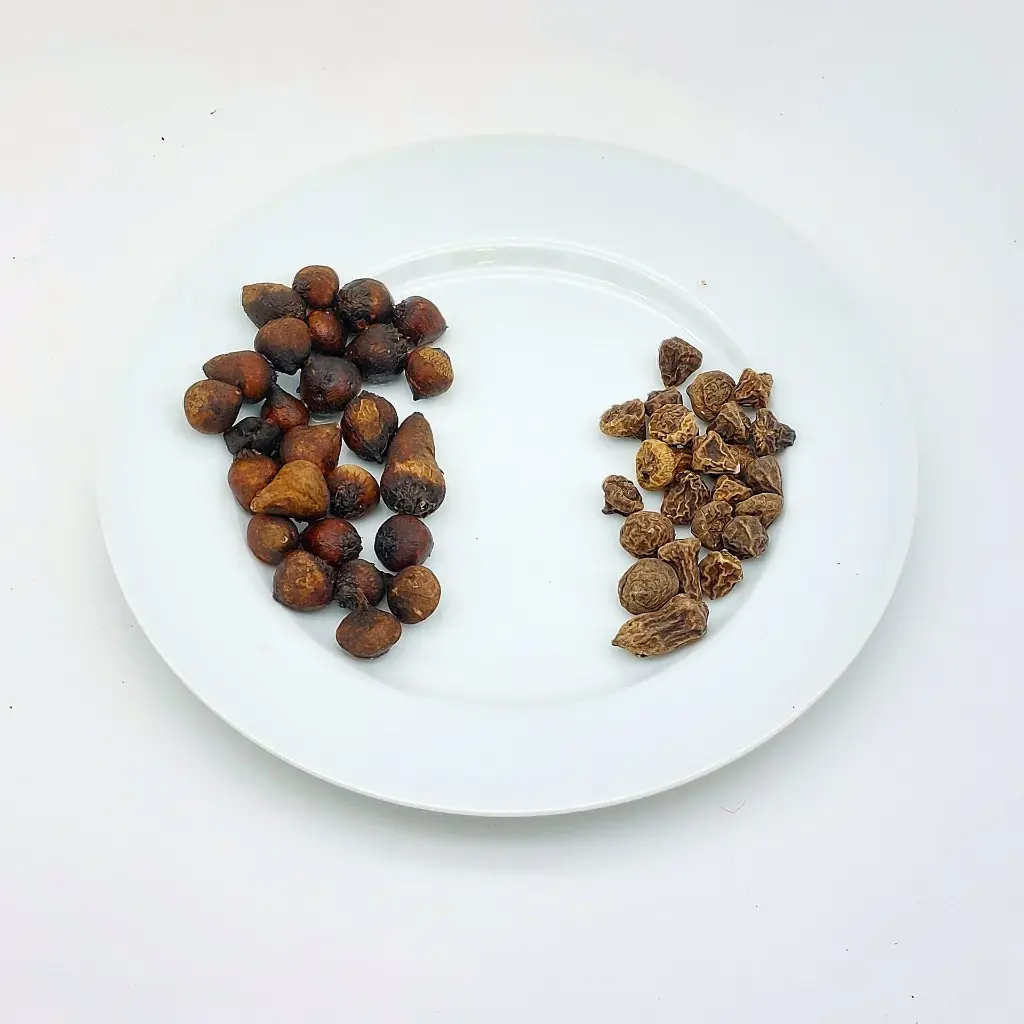 Anemon 24 uur voor en na.webp