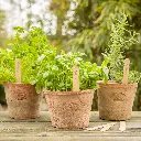 GT261_41vk.webp
