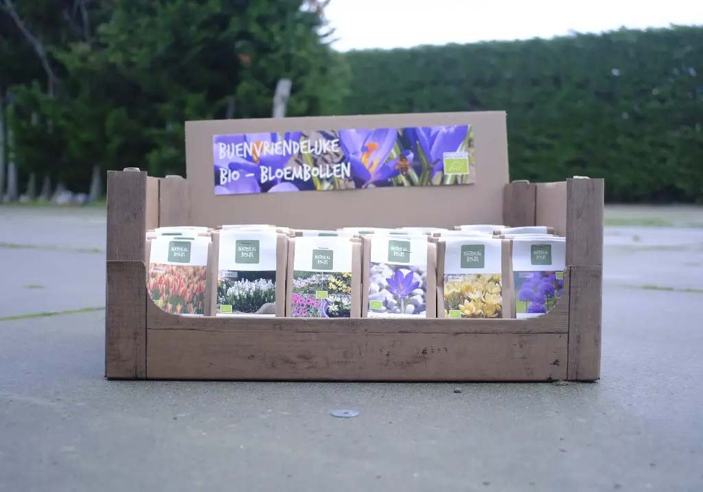 Herbstverkauf BIENENFREUNDLICH 36 P - BIO