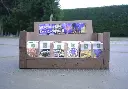 Autumn sale BEE FRIENDLY 36 packs- ORG