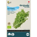 Lettuce Bionda a foglia riccia - ORG