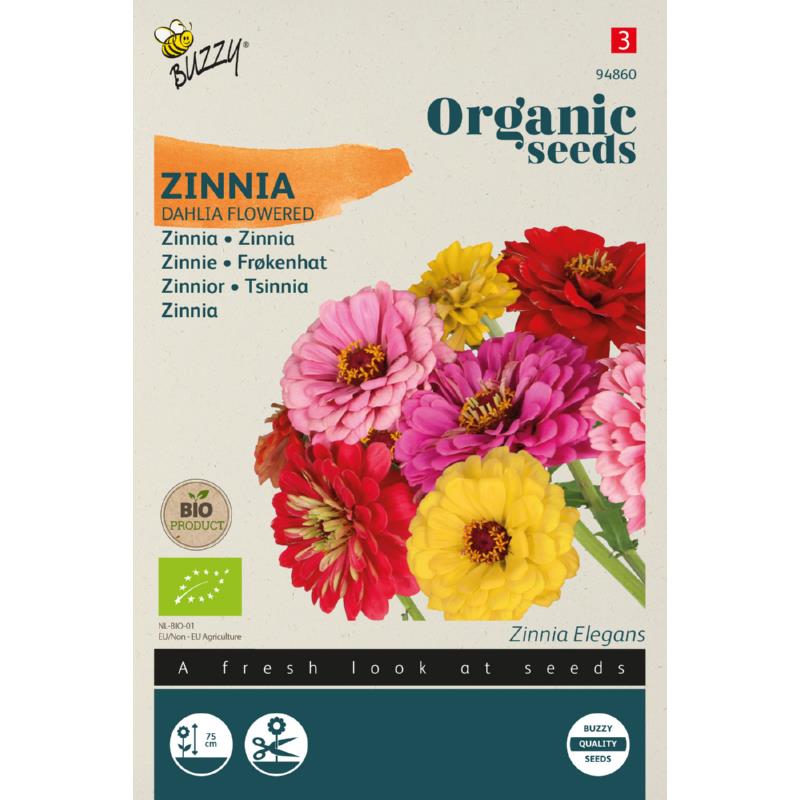 Zinnior Dubbel Dahlia Blommande - BIO