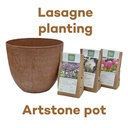 Bulb Lasagne with Artstone pot Oak - BIO