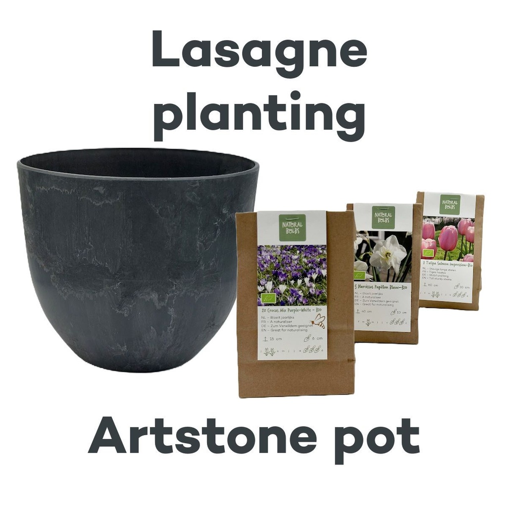 Bollenlasagne met Artstone pot Zwart - BIO