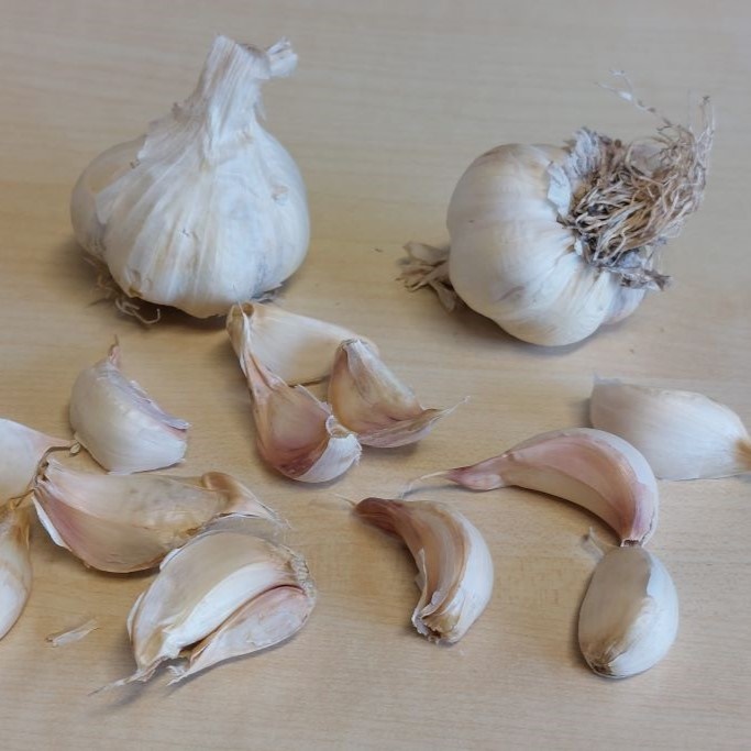 Knoflook Vallelado - BIO