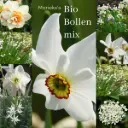 Marieke's organic bulb mix yellow/white 2 m2 - ORG