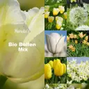 Marieke's Jardin aux bulbes bio jaune/blanc 2 m2 - BIO 