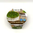 Rucola-spirekit - Spirer - BIO