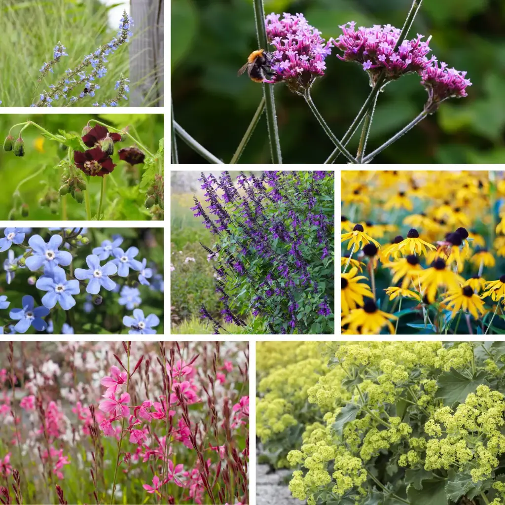 Zoemende Bloemenborder