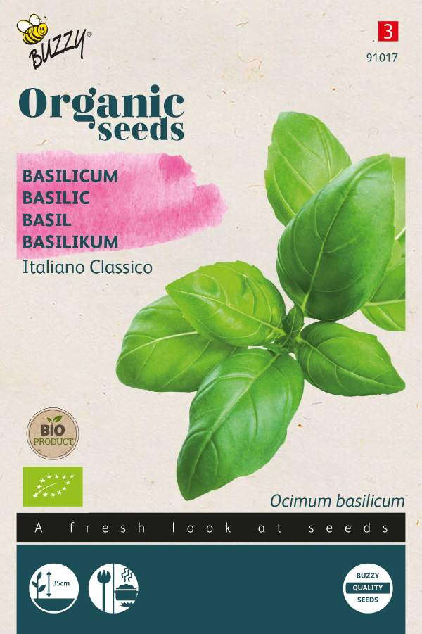 Basilic Italiano Classico - BIO