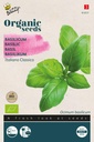 Basilic Italiano Classico - BIO