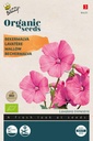 Lavatera - BIO