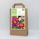 Dahlia lot sachet 3 ST - BIO