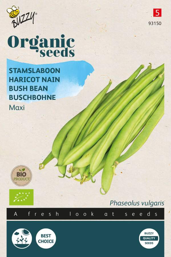 Buschbohne Maxi - BIO
