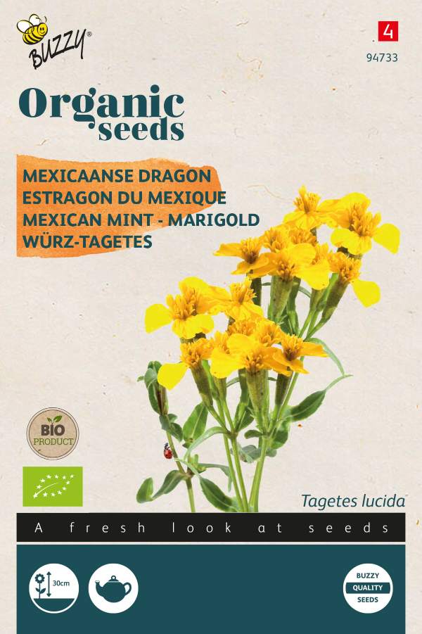 Tagetes Lucida, Mexicaanse Dragon - BIO