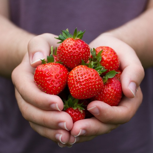 [X8074] Fragaria Ostara - ORG