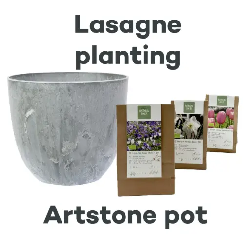 [AC99093] Bollenlasagne met Artstone pot Grijs - BIO 