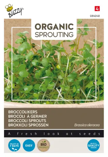 [Buzzy-084048] Broccolikers - Kiemgroente - BIO