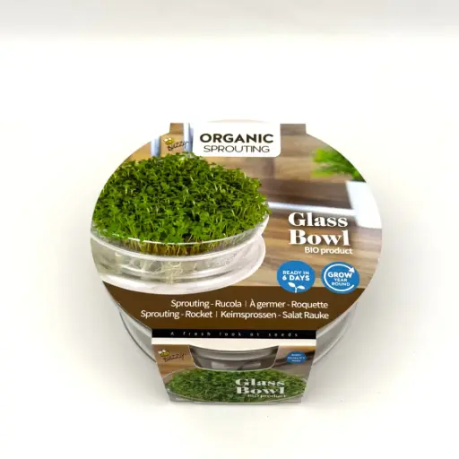[Buzzy-085387] Kit de germination de roquette - Germes - BIO