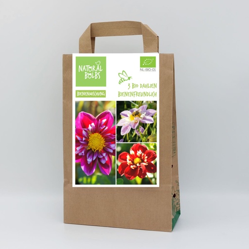 [B1090] Dahlia lot sachet 3 ST - BIO