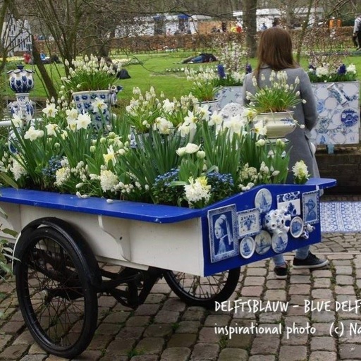 [AM99008] Delfts blauwe tuin 40 ST - BIO